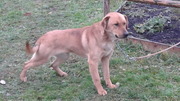 RIKI (2).jpg